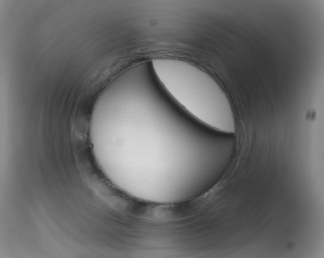X0000113290078200909141014