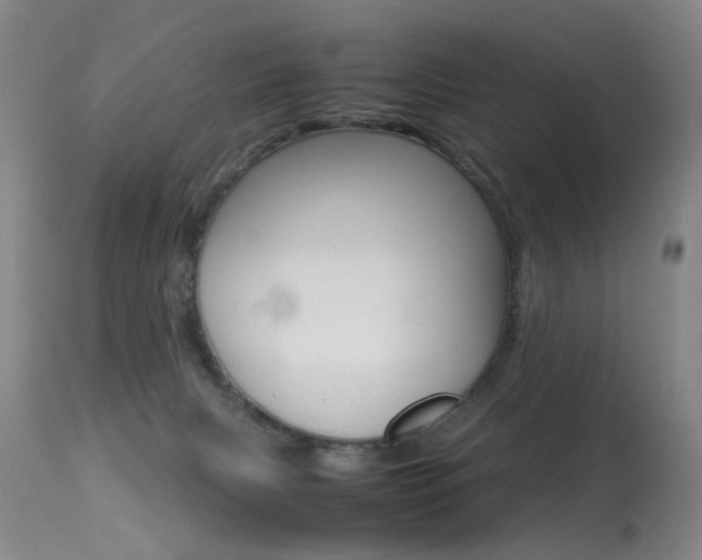 X0000113290079200909141014