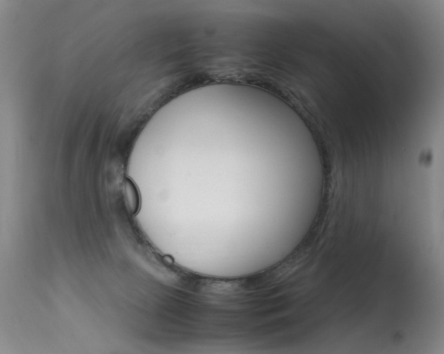 X0000113290081200909141014