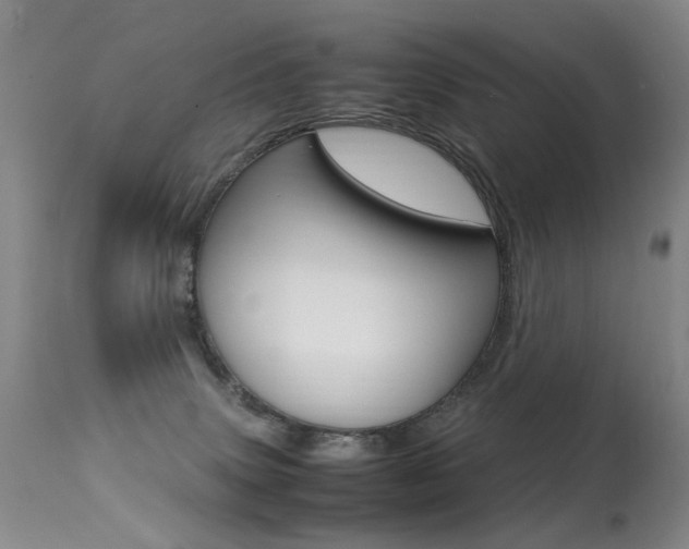 X0000113290083200909141015