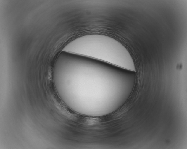 X0000113290085200909141015