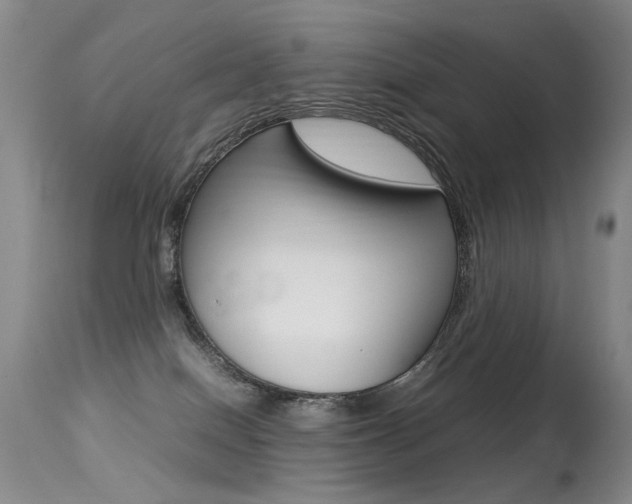 X0000113290086200909141015