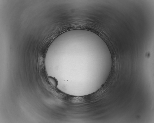 X0000113290087200909141015