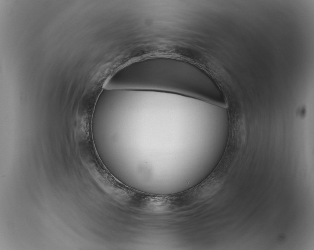 X0000113290088200909141015