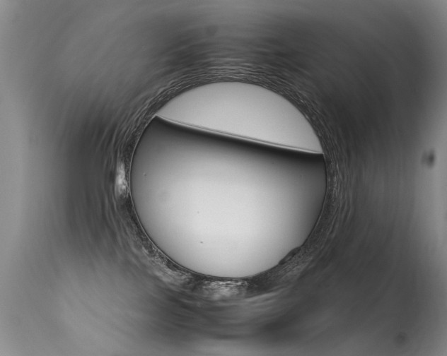 X0000113290089200909141015