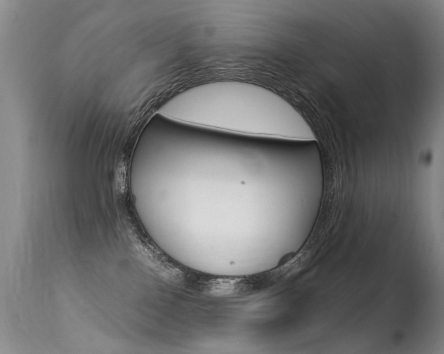 X0000113290090200909141015