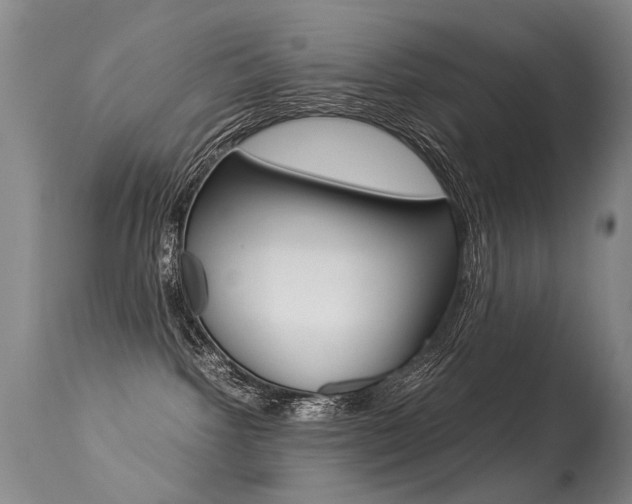 X0000113290092200909141015