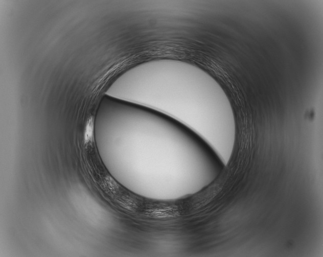 X0000113290095200909141015