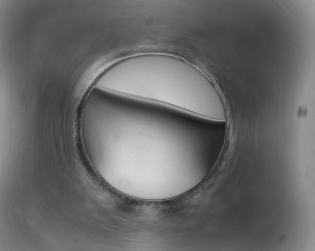 X0000113290103200909141014