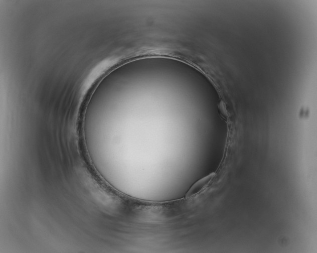 X0000113290104200909141014