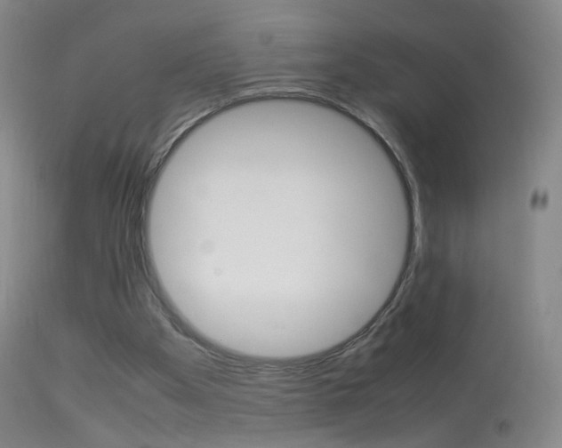 X0000113290105200909141014
