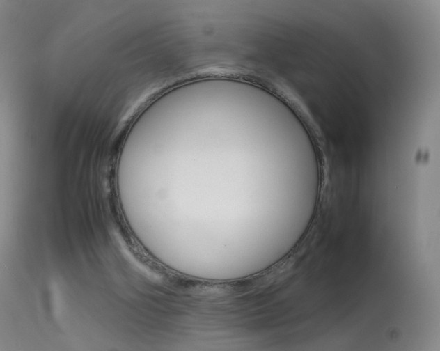 X0000113290106200909141014