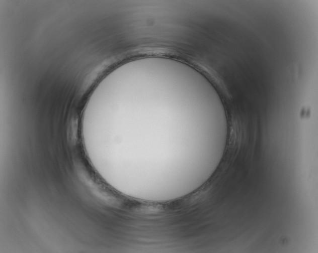 X0000113290110200909141014