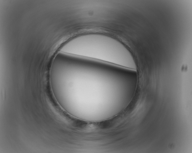 X0000113290111200909141014