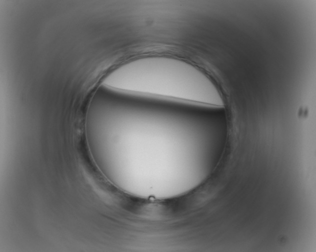 X0000113290119200909141014