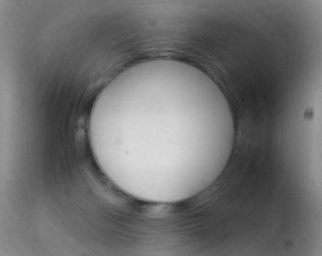X0000113290122200909141014
