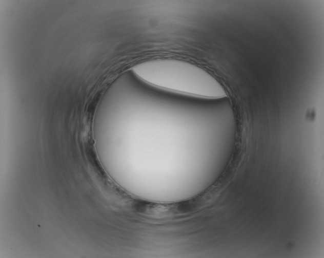 X0000113290129200909141014