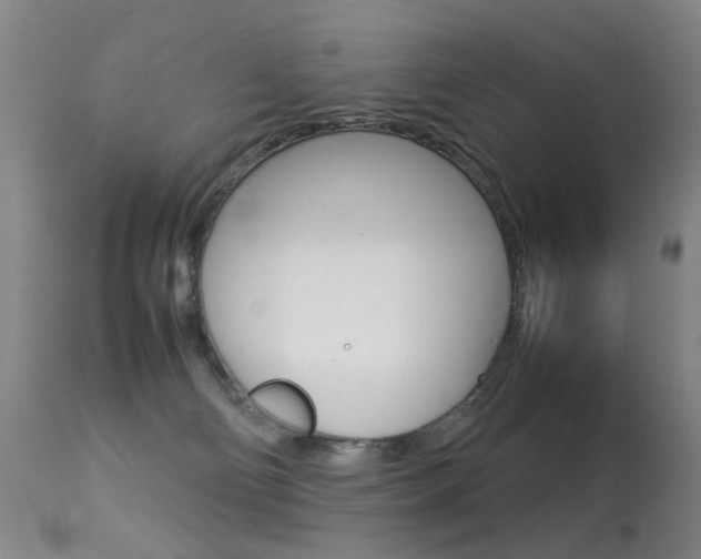 X0000113290130200909141014