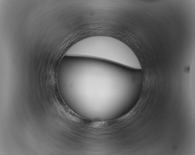 X0000113290136200909141014