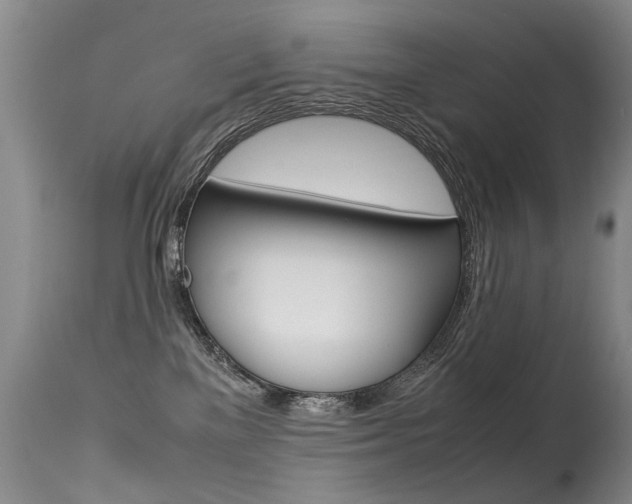 X0000113290137200909141013
