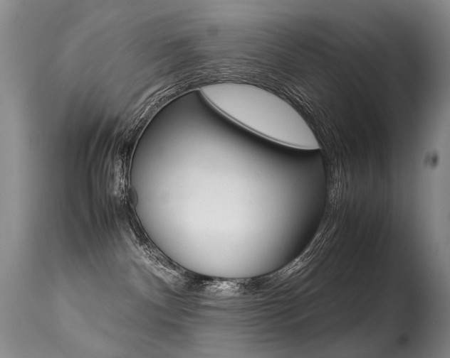 X0000113290140200909141013