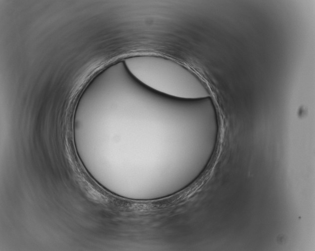X0000113290145200909141012
