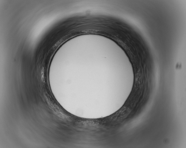 X0000113290146200909141013