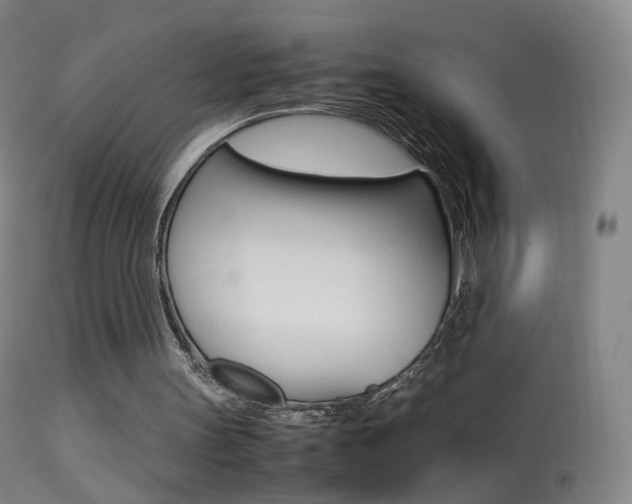 X0000113290147200909141013