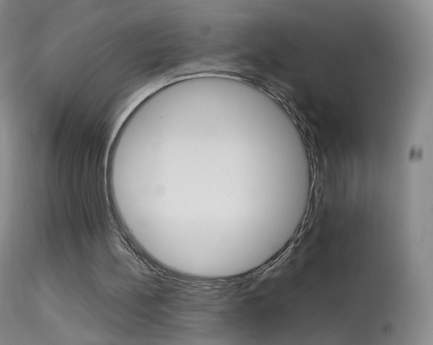 X0000113290148200909141013