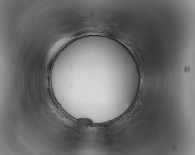 X0000113290149200909141013