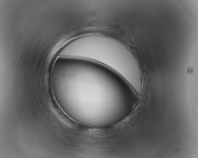 X0000113290150200909141013