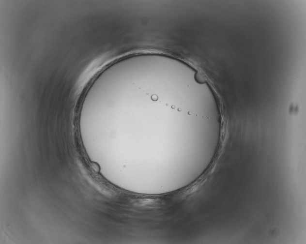 X0000113290151200909141013
