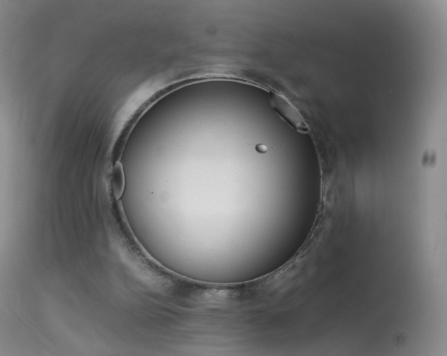 X0000113290152200909141013