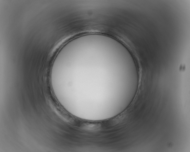 X0000113290155200909141013