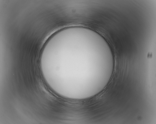 X0000113290156200909141013