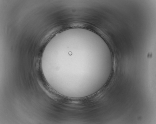 X0000113290157200909141013
