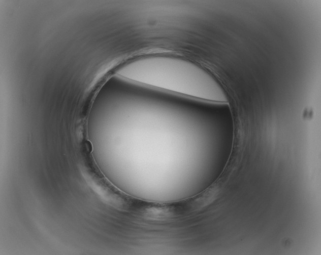 X0000113290160200909141013