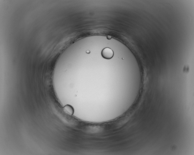 X0000113290161200909141013