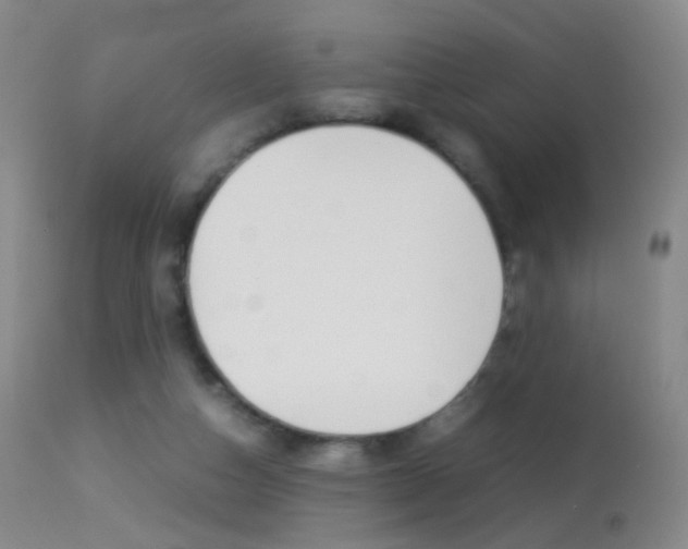 X0000113290162200909141013