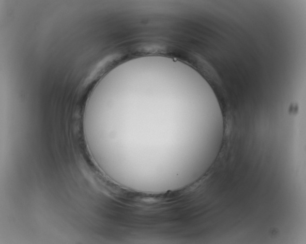 X0000113290163200909141013