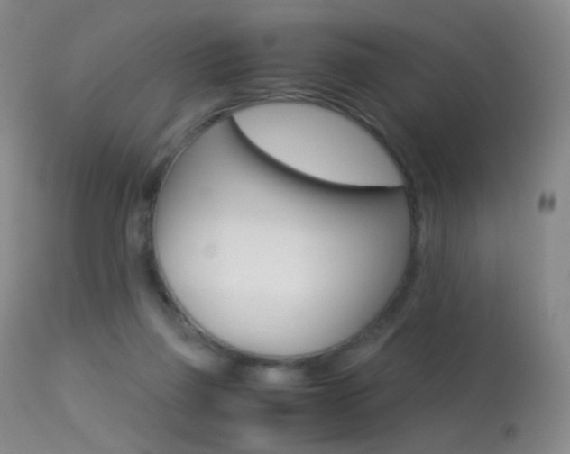 X0000113290165200909141013
