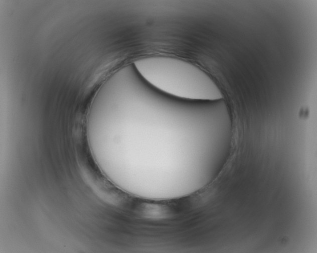 X0000113290167200909141013