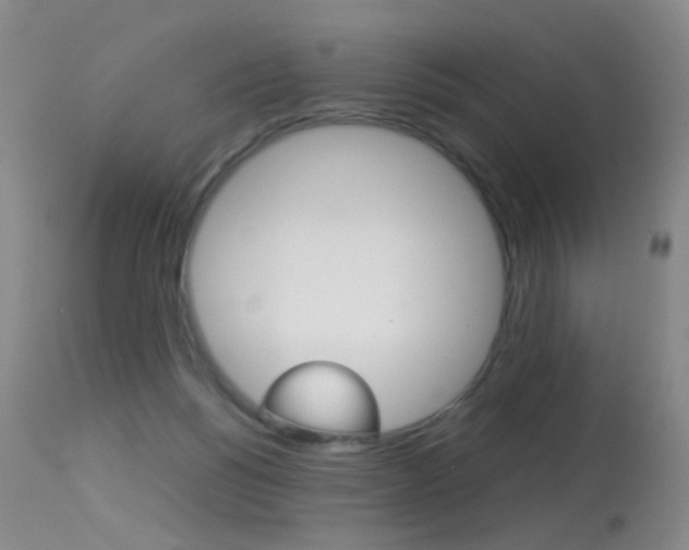 X0000113290168200909141013
