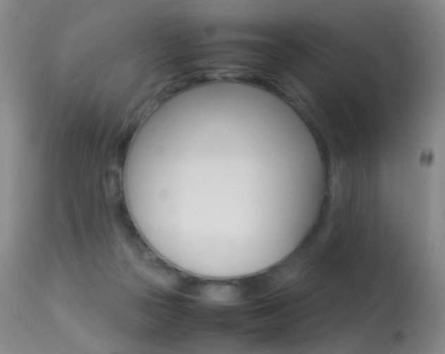 X0000113290169200909141013