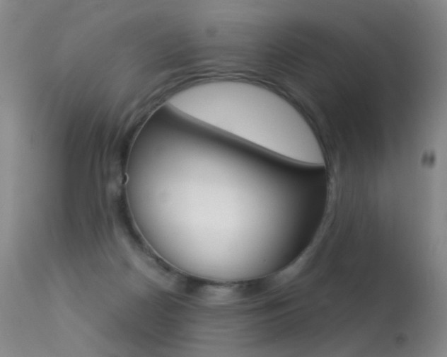 X0000113290170200909141013