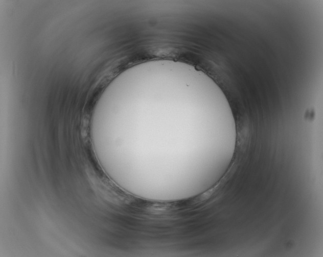 X0000113290175200909141013