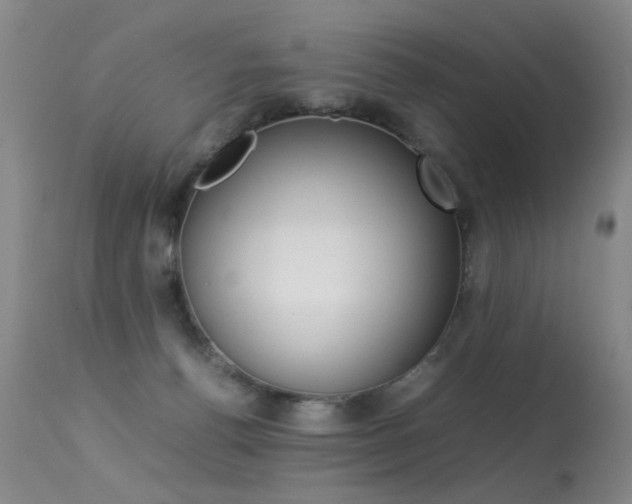 X0000113290176200909141013