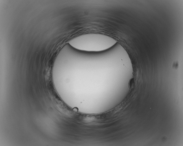 X0000113290177200909141013