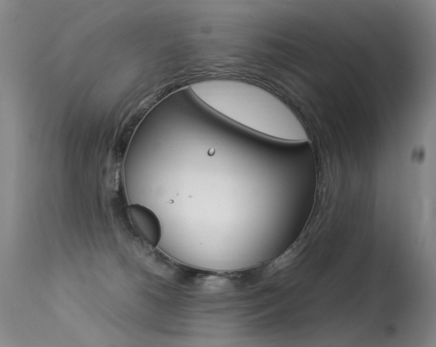 X0000113290180200909141013