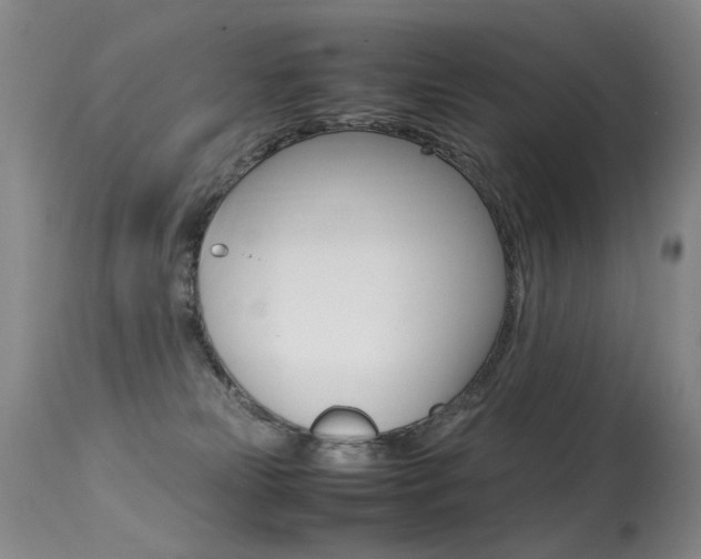 X0000113290181200909141013